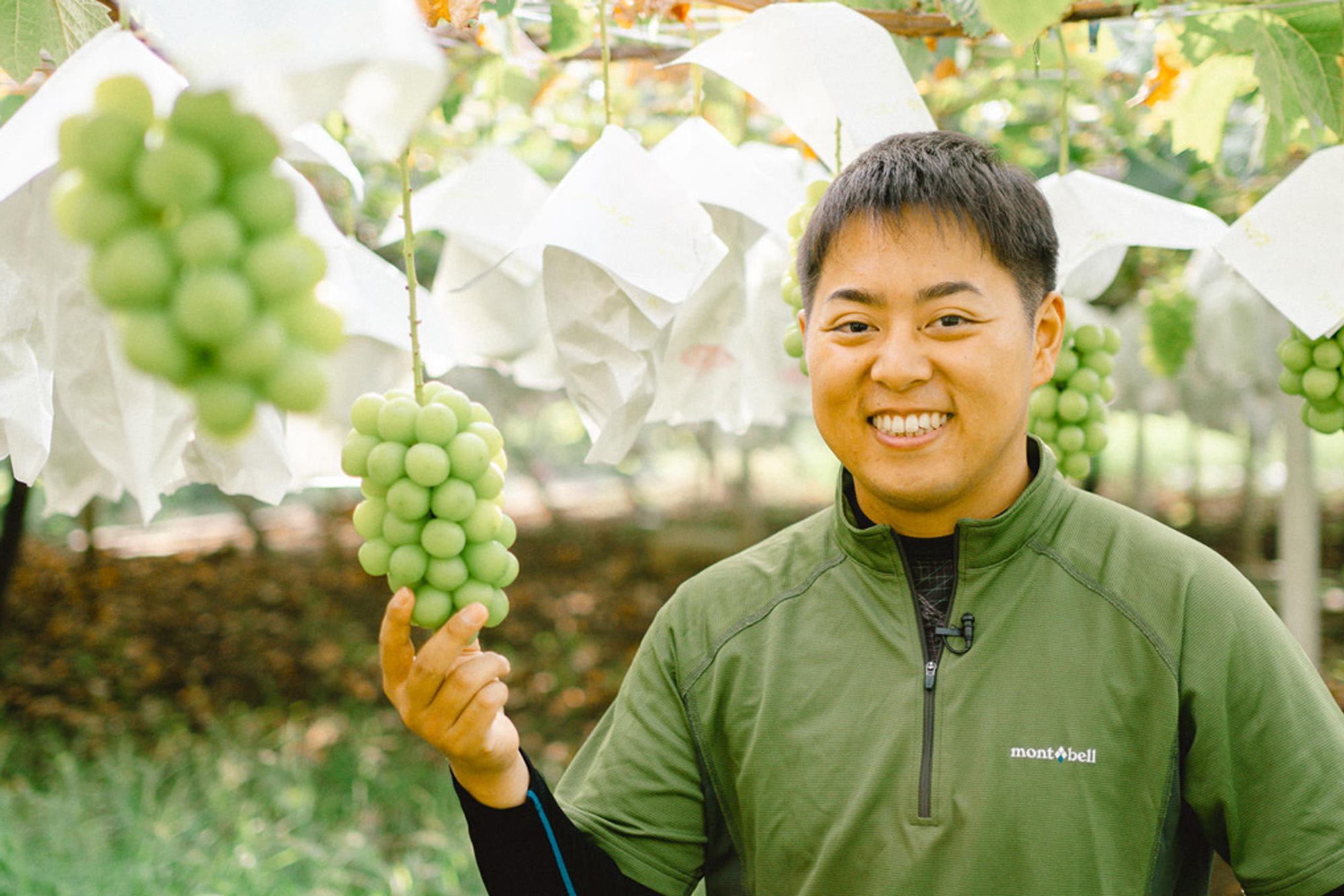 アグベル株式会社　丸山農園