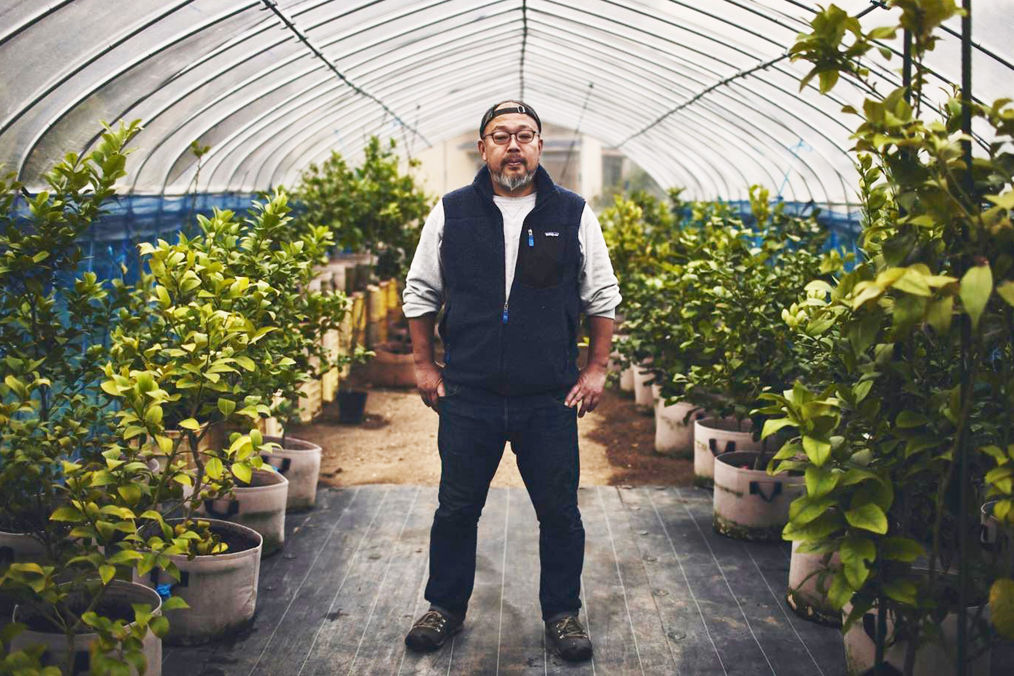 citrusfarms たてみち屋