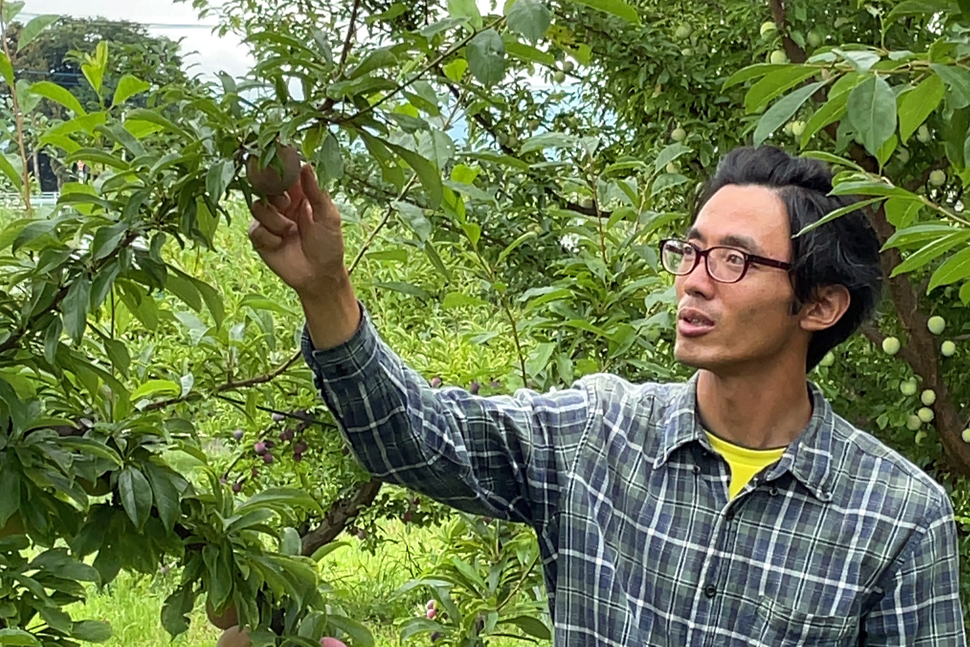 菊島西洋堂 東支店
