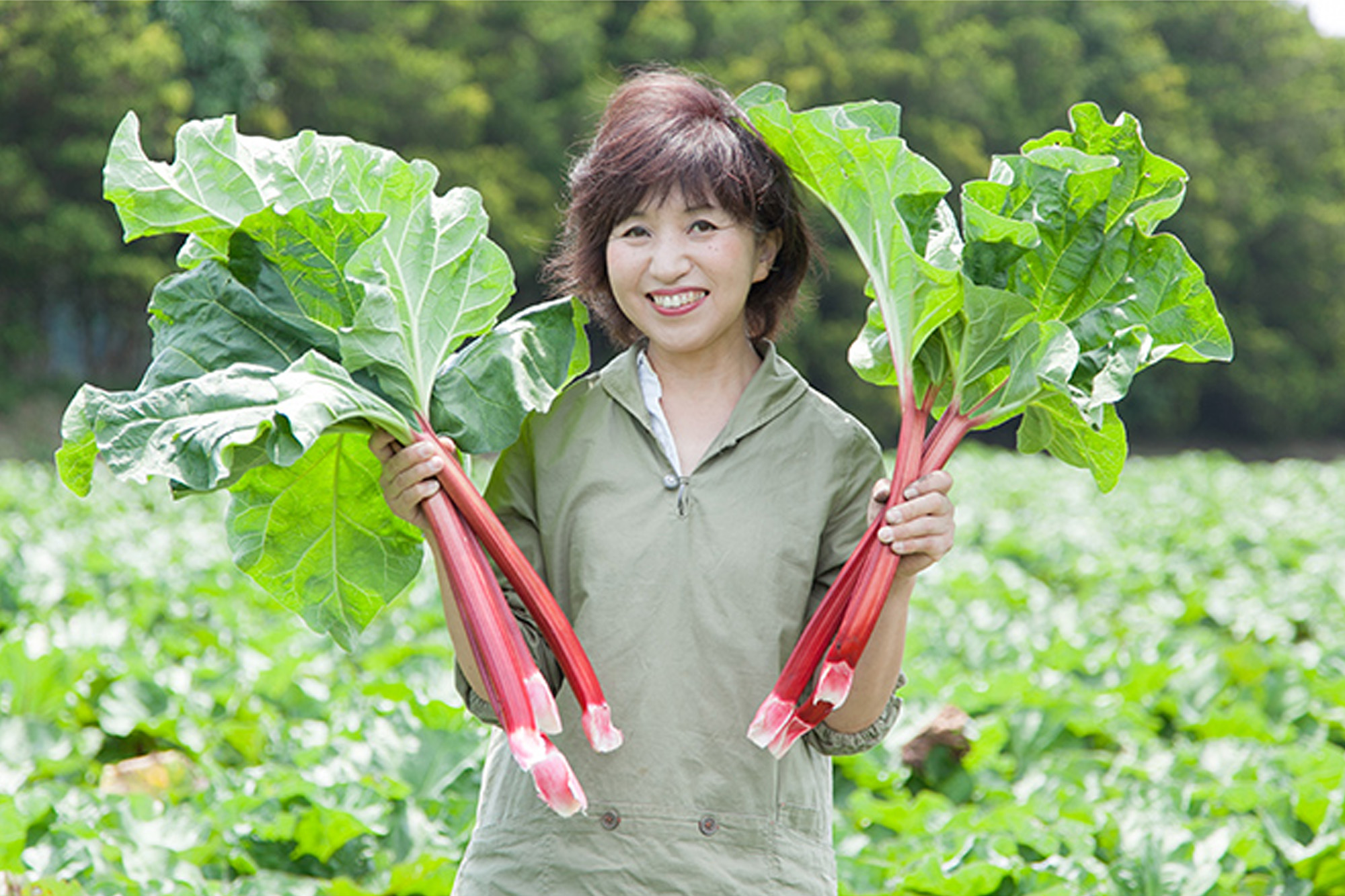 ルバーブの島田農園