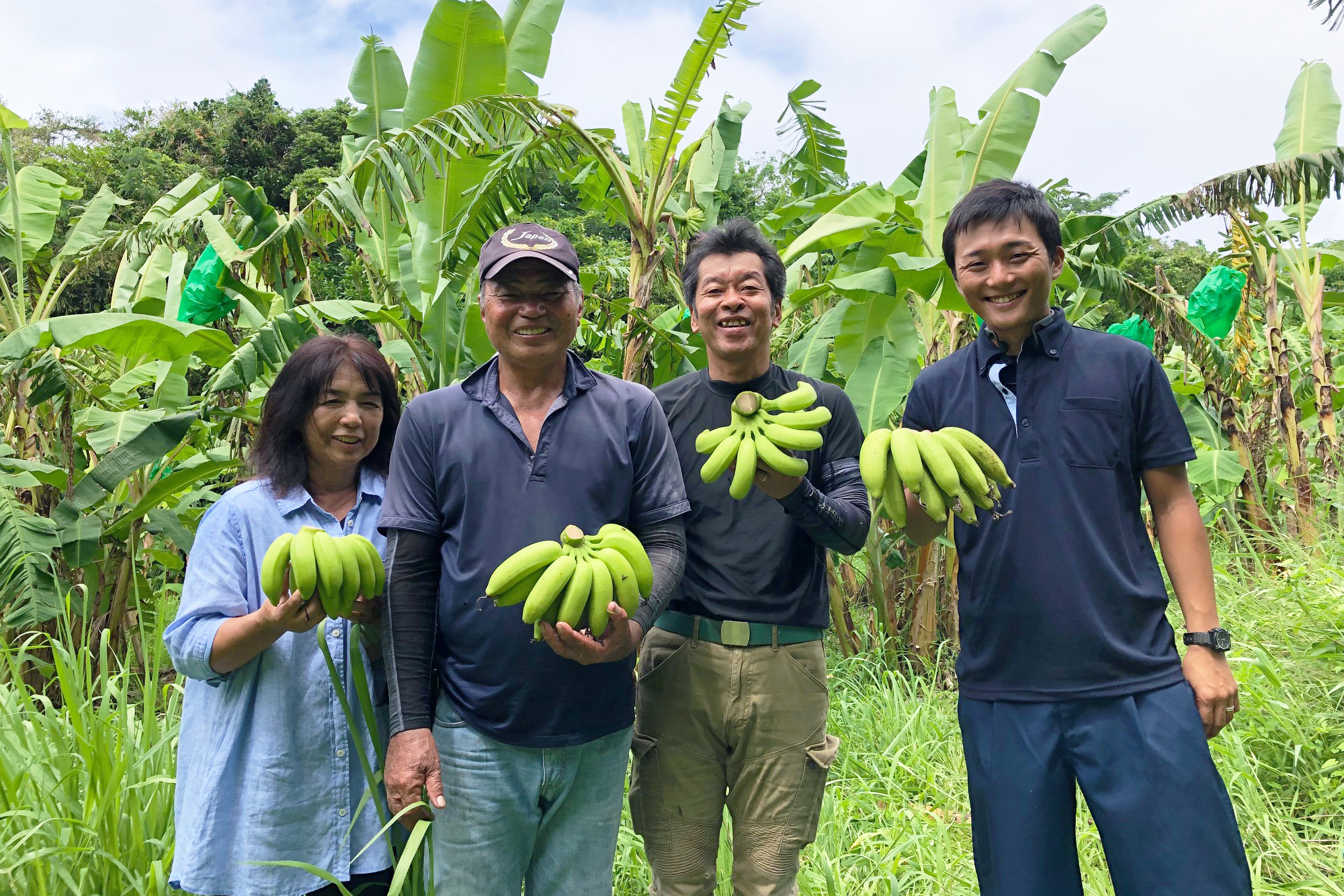 やえやまファーム