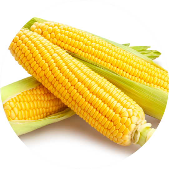 とうもろこしミルク