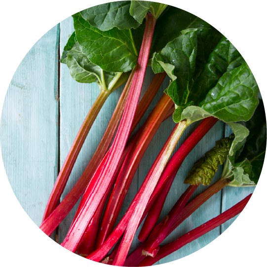 ルバーブミルク